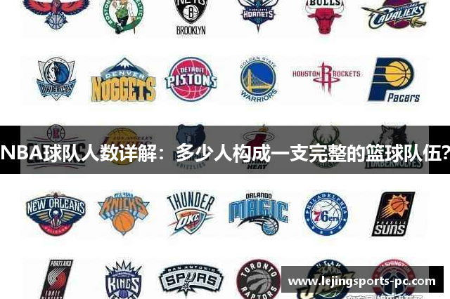 NBA球队人数详解：多少人构成一支完整的篮球队伍？