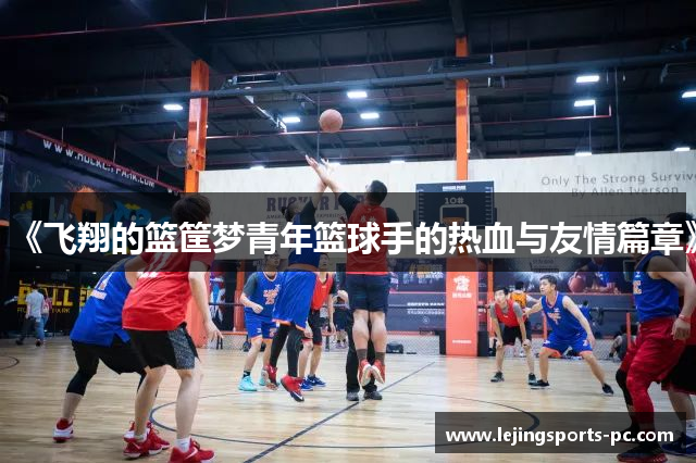 《飞翔的篮筐梦青年篮球手的热血与友情篇章》