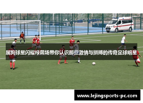 属狗球星闪耀绿茵场带你认识那些激情与拼搏的传奇足球明星